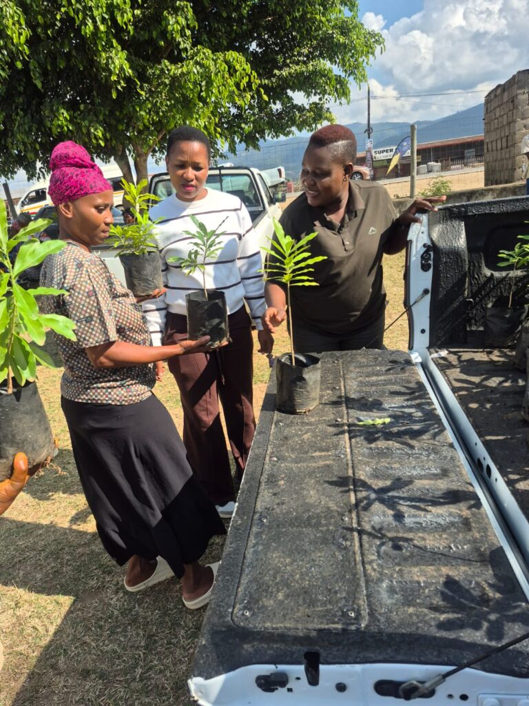 Mpumalanga Workshops this month